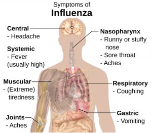 symptoms-of-influenza-niagra-falls